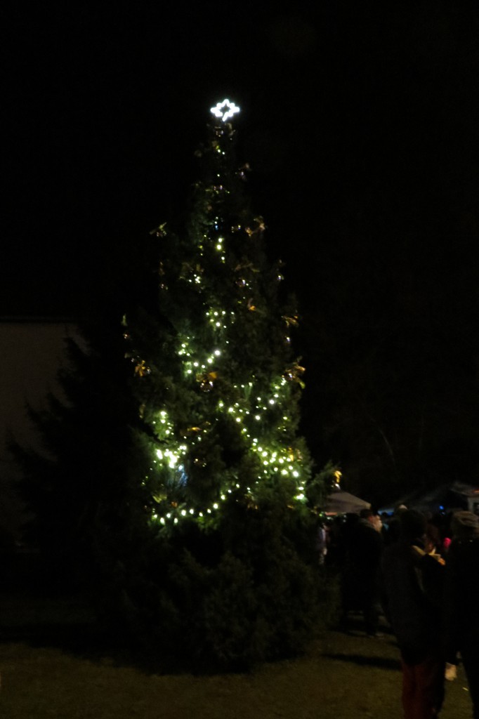 Rozsvícení vánočního stromu 088